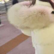 ヒメ日記 2025/01/14 09:30 投稿 きほ Number Five 品川（シンデレラグループ）