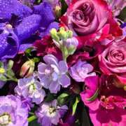 ヒメ日記 2025/02/01 19:50 投稿 きほ Number Five 品川（シンデレラグループ）