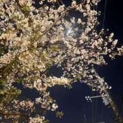 ヒメ日記 2025/04/11 22:23 投稿 きほ Number Five 品川（シンデレラグループ）