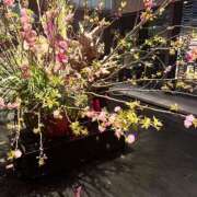 ヒメ日記 2025/04/13 23:31 投稿 きほ Number Five 品川（シンデレラグループ）