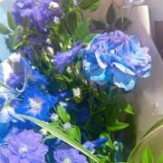 ヒメ日記 2025/05/27 21:25 投稿 きほ Number Five 品川（シンデレラグループ）