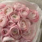 ヒメ日記 2025/07/18 11:59 投稿 きほ Number Five 品川（シンデレラグループ）