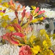 ヒメ日記 2025/08/09 19:41 投稿 きほ Number Five 品川（シンデレラグループ）