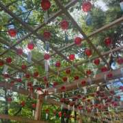 ヒメ日記 2025/08/15 12:34 投稿 きほ Number Five 品川（シンデレラグループ）