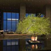 ヒメ日記 2025/09/04 18:31 投稿 きほ Number Five 品川（シンデレラグループ）