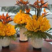 ヒメ日記 2025/10/27 09:00 投稿 きほ Number Five 品川（シンデレラグループ）