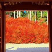 きほ 綺麗でしょ Number Five 品川（シンデレラグループ）