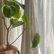 きほ おはよ Number Five 品川（シンデレラグループ）