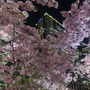 ヒメ日記 2026/03/05 22:37 投稿 きほ Number Five 品川（シンデレラグループ）