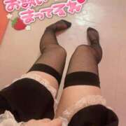 ヒメ日記 2025/02/11 14:19 投稿 かゆ マリン土浦本店