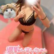 ヒメ日記 2025/02/12 00:21 投稿 かゆ マリン土浦本店