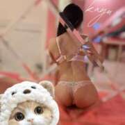 ヒメ日記 2025/03/04 01:01 投稿 かゆ マリン土浦本店