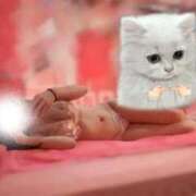 ヒメ日記 2025/03/06 06:21 投稿 かゆ マリン土浦本店