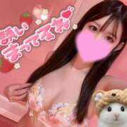 ヒメ日記 2025/03/14 15:51 投稿 かゆ マリン土浦本店