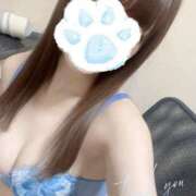 ヒメ日記 2025/06/11 00:01 投稿 かゆ マリン土浦本店