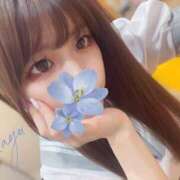 ヒメ日記 2025/06/11 15:02 投稿 かゆ マリン土浦本店