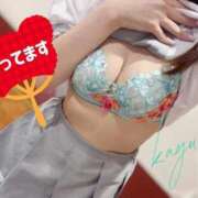 ヒメ日記 2025/07/09 13:49 投稿 かゆ マリン土浦本店