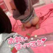 ヒメ日記 2025/07/19 15:21 投稿 かゆ マリン土浦本店