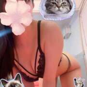 ヒメ日記 2025/09/19 09:02 投稿 かゆ マリン土浦本店