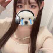 ヒメ日記 2025/11/05 15:14 投稿 かゆ マリン土浦本店