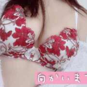 ヒメ日記 2025/12/08 18:01 投稿 こころ 豊満倶楽部