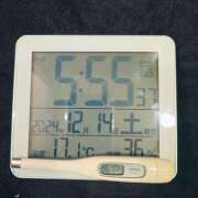 ヒメ日記 2024/12/14 08:21 投稿 りょう MIKADO