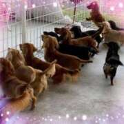 ヒメ日記 2025/04/06 09:41 投稿 りょう MIKADO