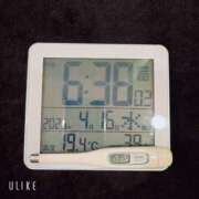 ヒメ日記 2025/04/16 07:21 投稿 りょう MIKADO