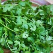 ヒメ日記 2025/06/14 15:06 投稿 りょう MIKADO