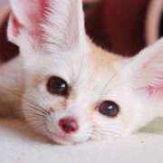 ヒメ日記 2025/06/16 20:25 投稿 りょう MIKADO