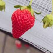 ヒメ日記 2025/07/08 19:02 投稿 りょう MIKADO