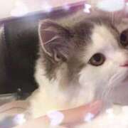 ヒメ日記 2025/07/19 13:02 投稿 りょう MIKADO