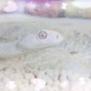 ヒメ日記 2025/08/21 09:14 投稿 りょう MIKADO