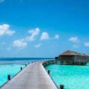 ヒメ日記 2025/08/24 13:21 投稿 りょう MIKADO