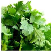 ヒメ日記 2025/09/06 14:41 投稿 りょう MIKADO