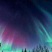 ヒメ日記 2025/11/22 17:51 投稿 りょう MIKADO