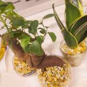 ヒメ日記 2025/12/05 08:15 投稿 りょう MIKADO