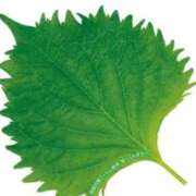 ヒメ日記 2025/12/12 17:31 投稿 りょう MIKADO