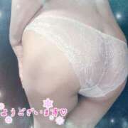 ヒメ日記 2024/12/11 07:35 投稿 なつこ 奥鉄オクテツ東京店（デリヘル市場）