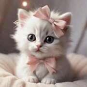 ヒメ日記 2025/06/04 12:08 投稿 赤星 熟女の風俗最終章 新横浜店