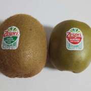 ヒメ日記 2025/08/24 14:40 投稿 小泉　なぎさ エテルナ彦根