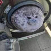 ヒメ日記 2025/08/25 16:57 投稿 小泉　なぎさ エテルナ彦根