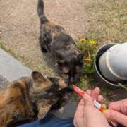 ヒメ日記 2025/08/30 14:41 投稿 小泉　なぎさ エテルナ彦根