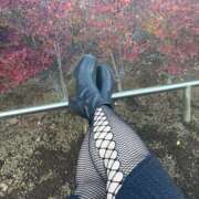 ヒメ日記 2024/12/18 14:44 投稿 いちか 素人妻御奉仕倶楽部Hip's松戸店