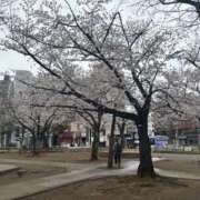 ヒメ日記 2025/04/06 14:34 投稿 いちか 素人妻御奉仕倶楽部Hip's松戸店