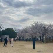 ヒメ日記 2025/04/07 10:08 投稿 いちか 素人妻御奉仕倶楽部Hip's松戸店