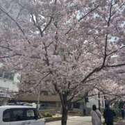 ヒメ日記 2025/04/09 11:36 投稿 いちか 素人妻御奉仕倶楽部Hip's松戸店