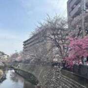 ヒメ日記 2025/04/14 10:56 投稿 いちか 素人妻御奉仕倶楽部Hip's松戸店