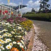 ヒメ日記 2025/04/15 11:16 投稿 いちか 素人妻御奉仕倶楽部Hip's松戸店