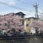 ヒメ日記 2025/04/17 10:26 投稿 いちか 素人妻御奉仕倶楽部Hip's松戸店